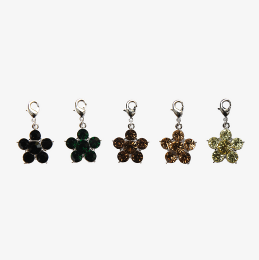 Kentucky Lucky Charm Flower