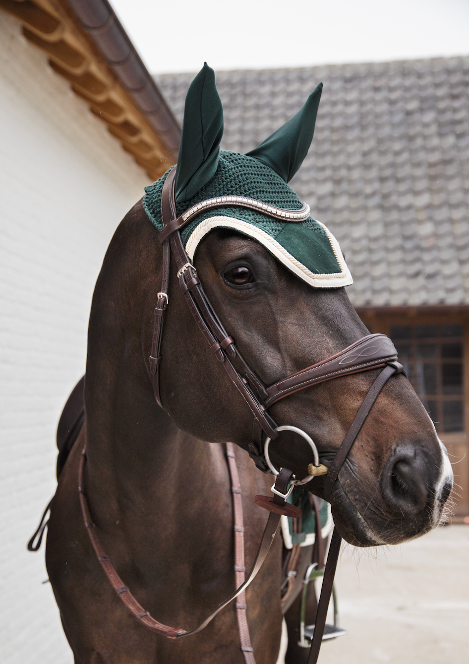 Kentucky Fly Veil Wellington Velvet Contrast