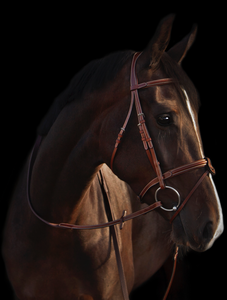 Utzon Deauville Bridle