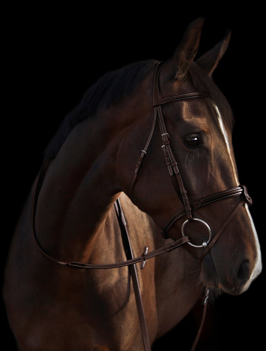 Utzon Deauville Bridle