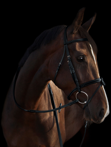 Utzon Deauville Bridle