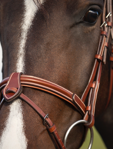 Utzon Deauville Bridle