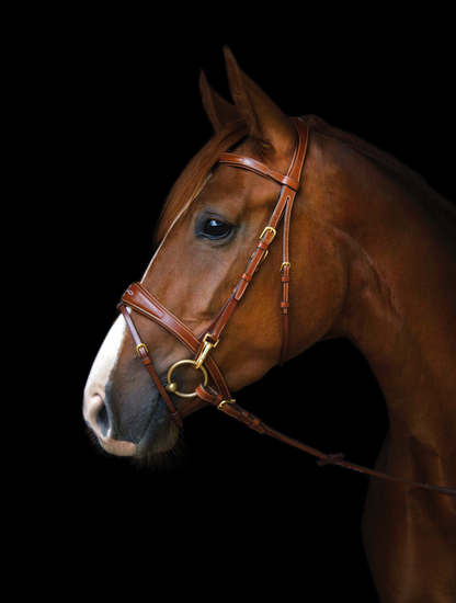 Utzon Belmond Bridle