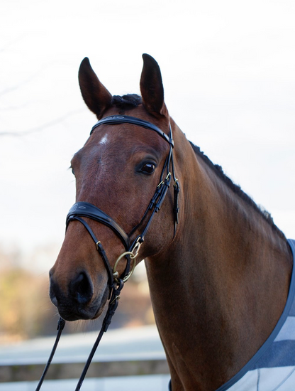 Utzon Belmond Bridle