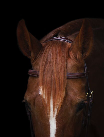 Utzon Belmond Bridle