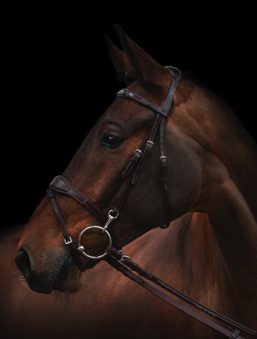 Utzon Oxford Bridle