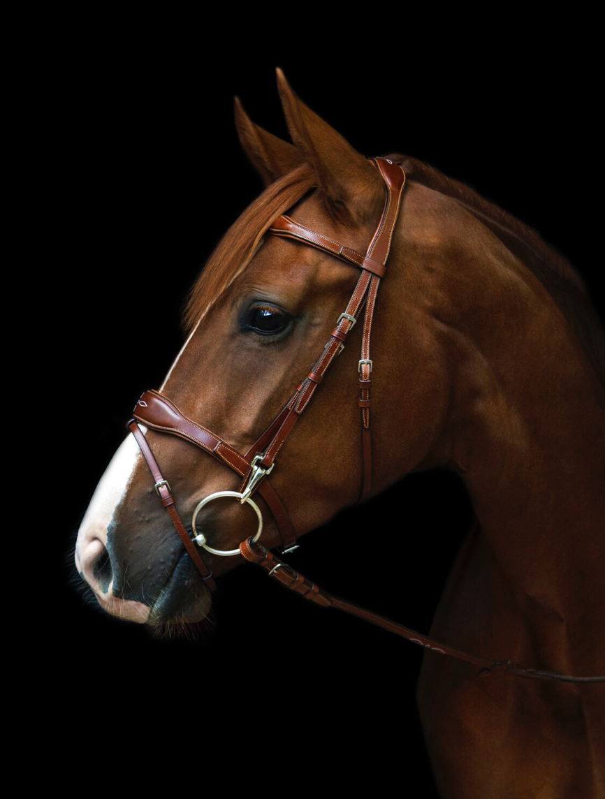 Utzon Oxford Bridle