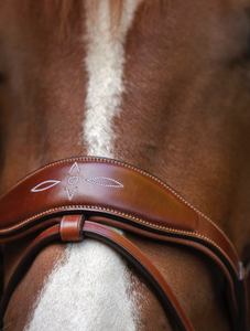 Utzon Oxford Bridle