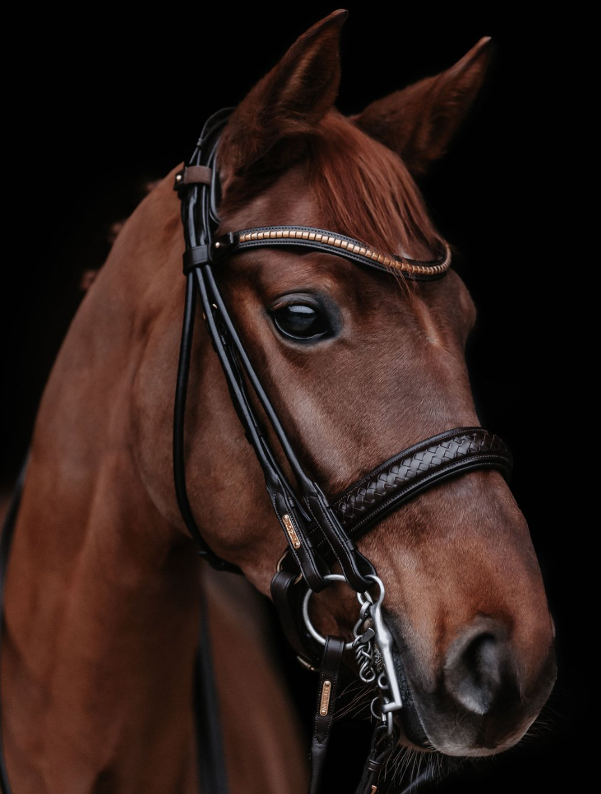 Utzon Olympic Double Bridle