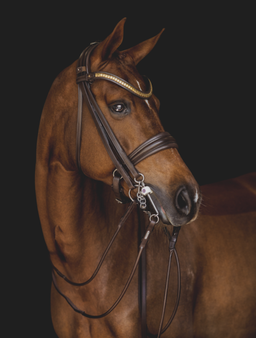 Utzon London Double Bridle