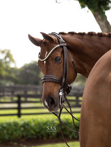 Utzon London Double Bridle