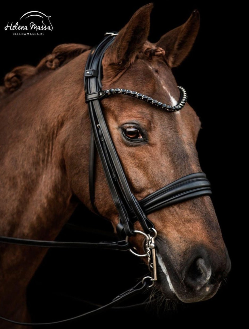 Utzon London Double Bridle