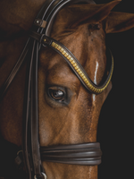 Load image into Gallery viewer, Utzon Browband Clinchers
