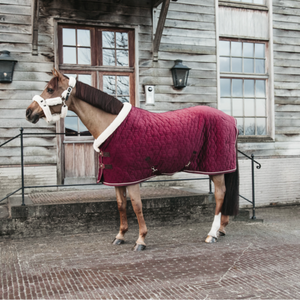 Kentucky Show Rug Velvet 160g