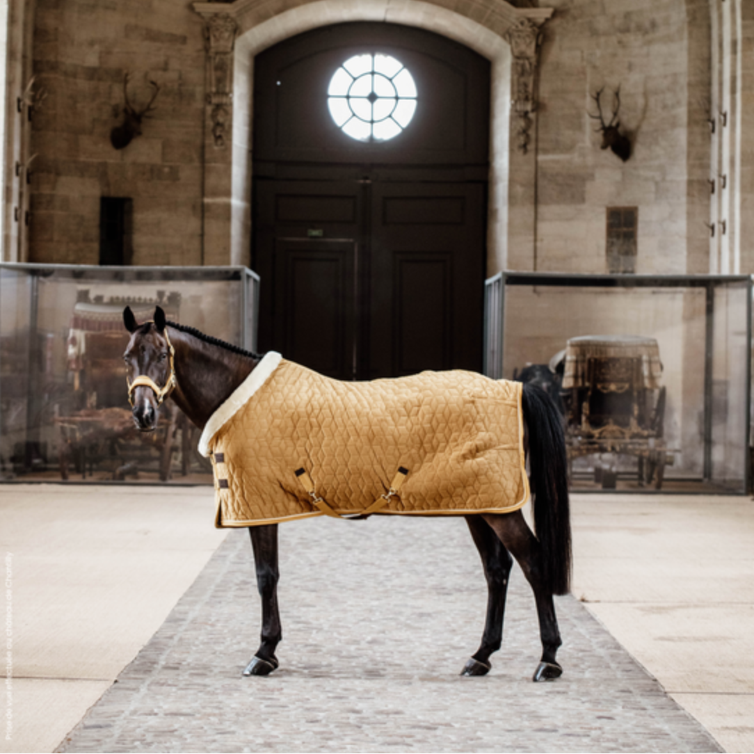 Kentucky Show Rug Velvet 160g