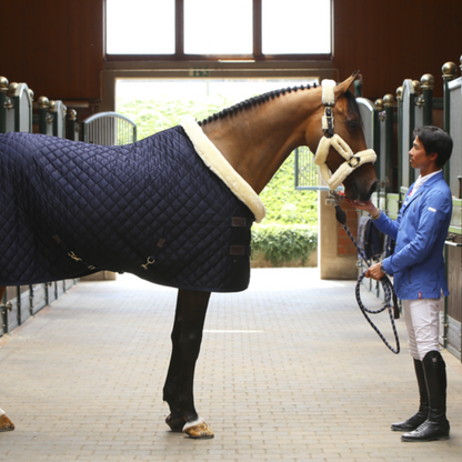Kentucky Show Rug