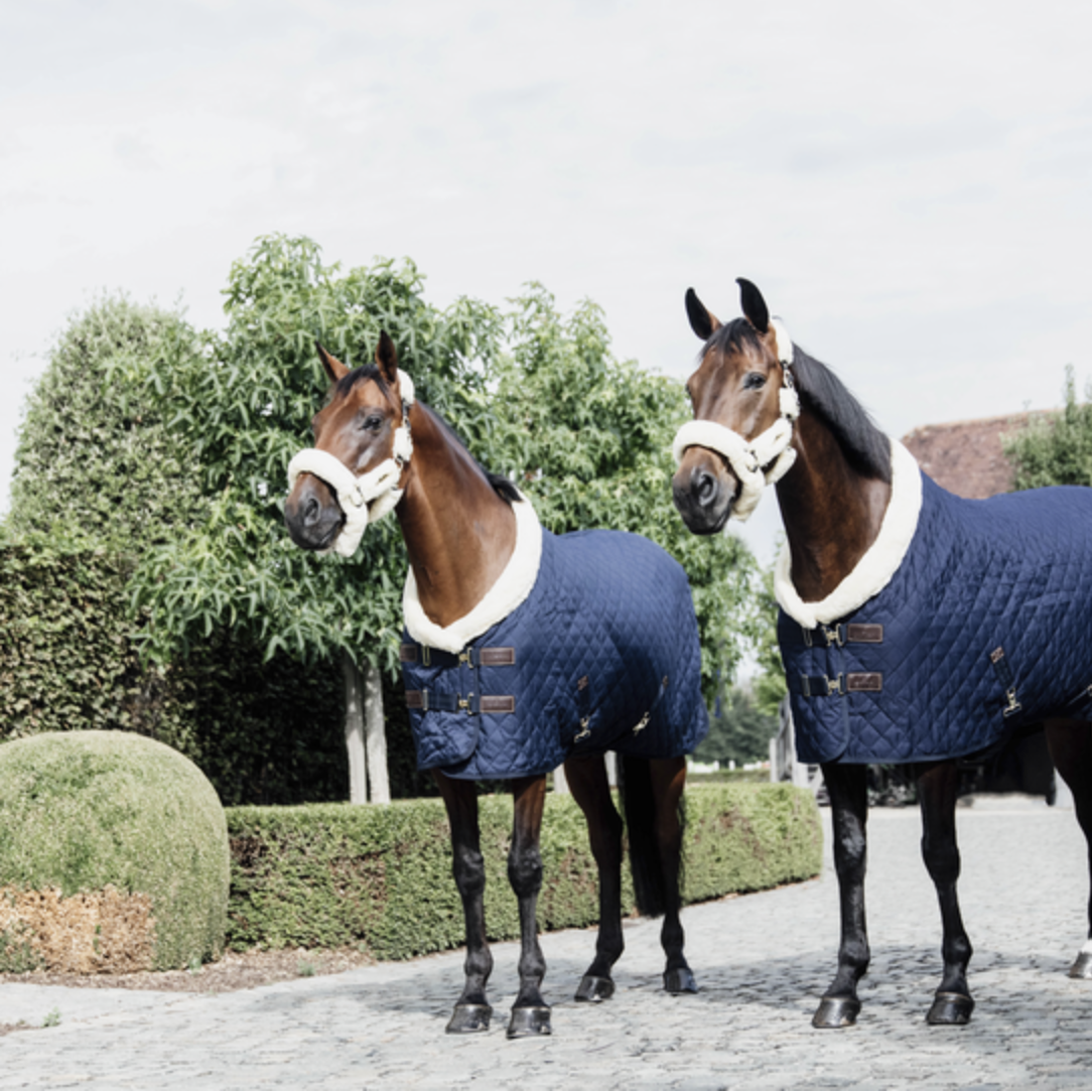 Kentucky Show Rug