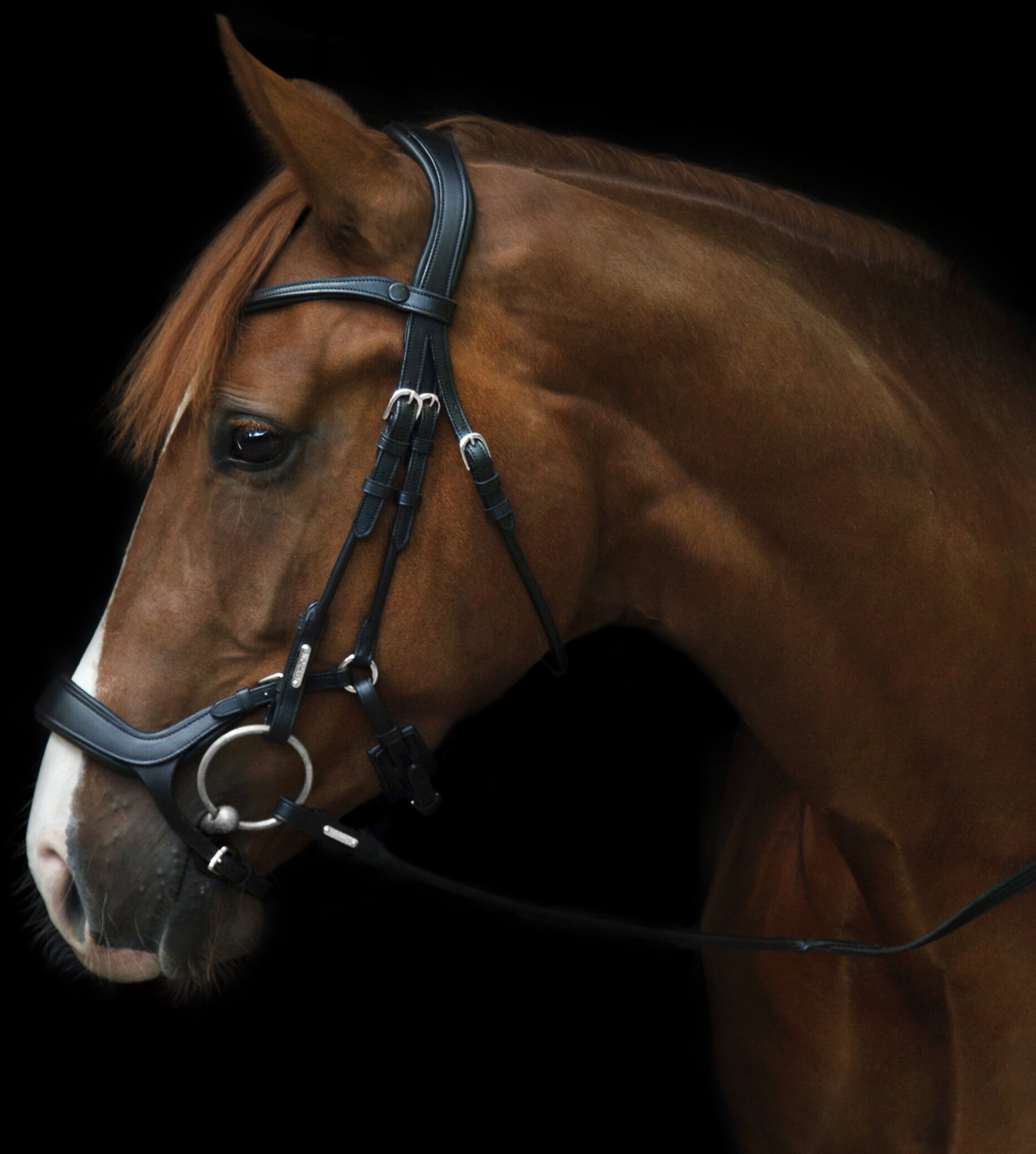 Utzon bristol showjumping bridle in black leather and silver metalware