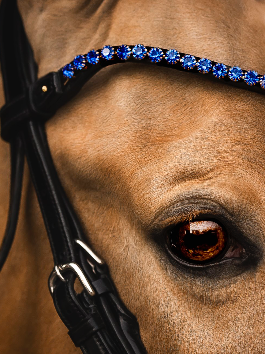 Utzon browband elegant  with 6mm crystals and sapphire colour