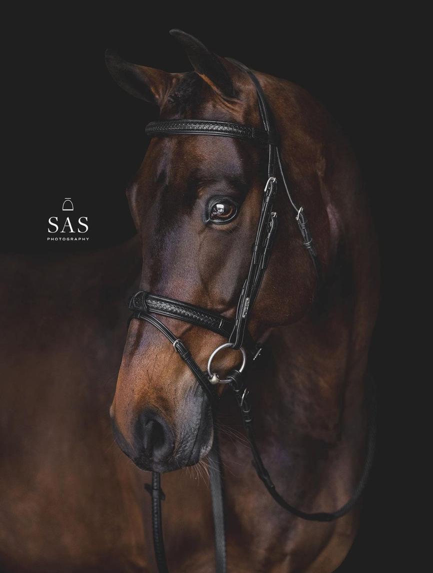 Utzon equestrian grand prix bridle in black