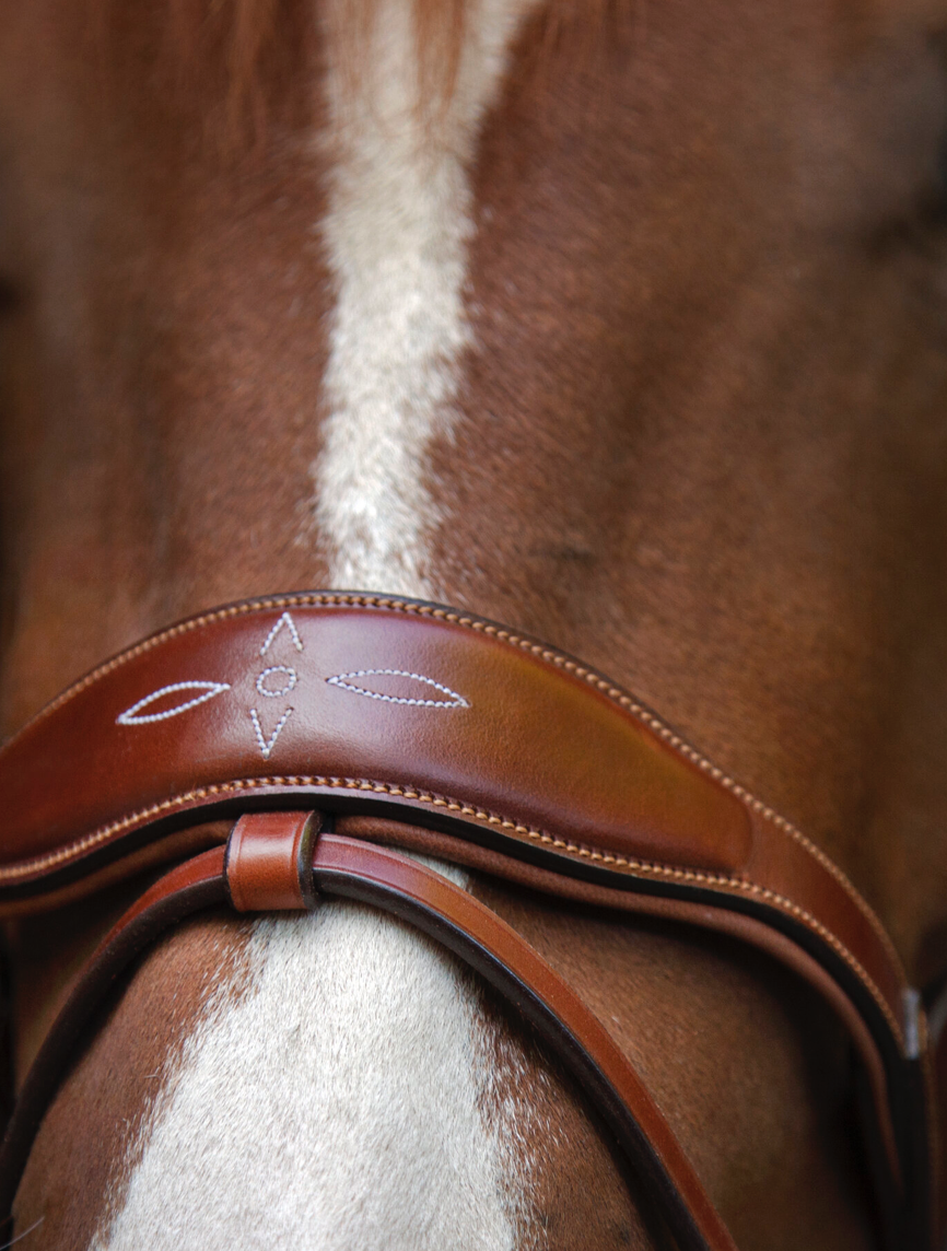 Utzon oxford bridle noseband light brown