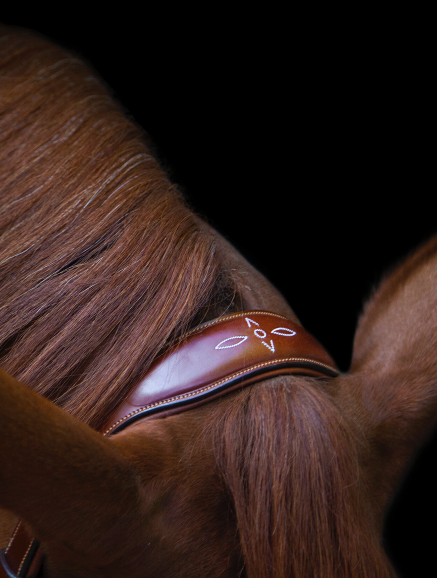 Utzon oxford bridle poll piece