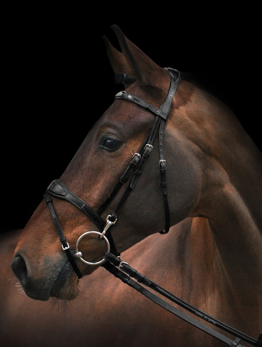 Utzon oxford jumping bridle in black