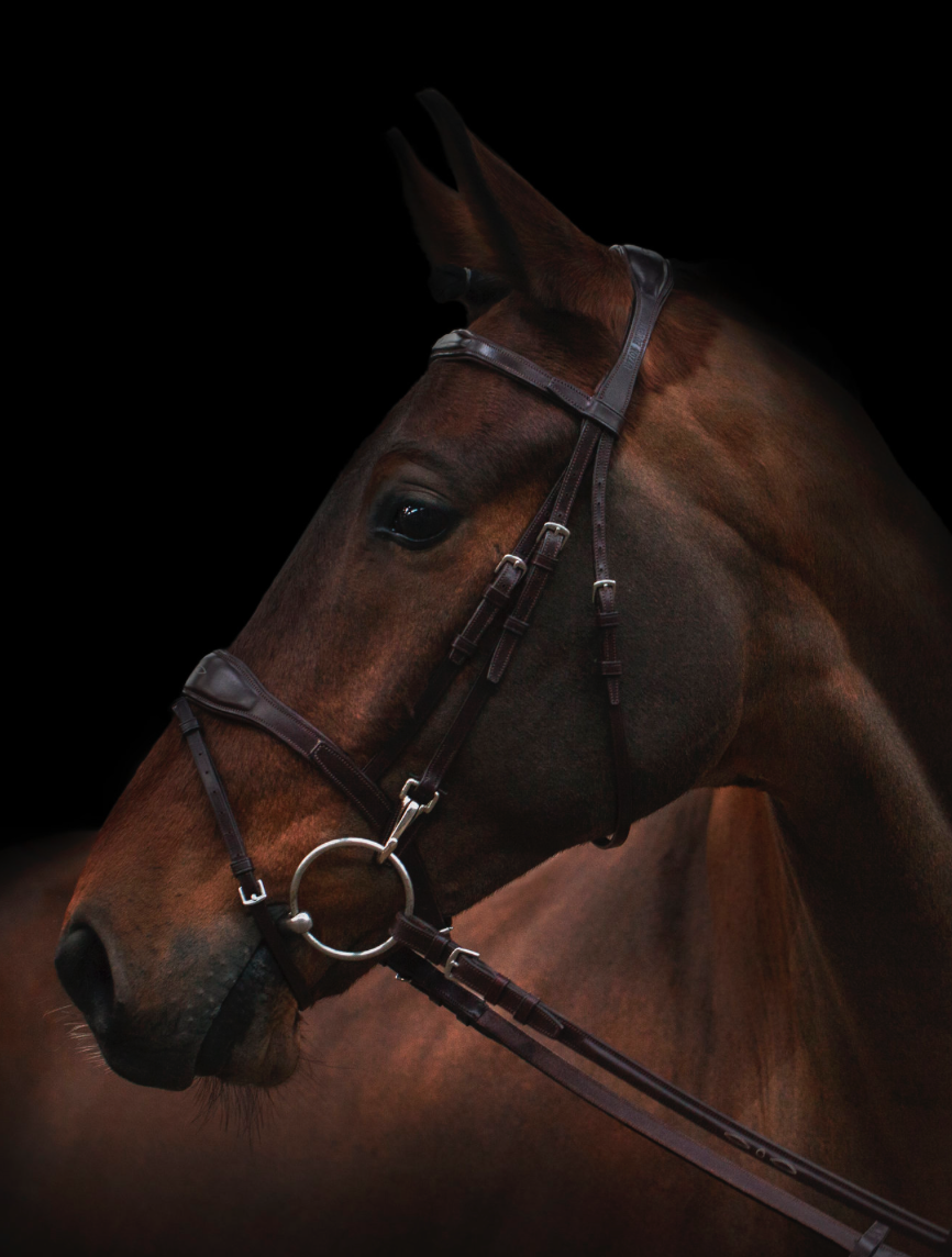 Utzon oxford jumping bridle in dark brown leather and silver metalware