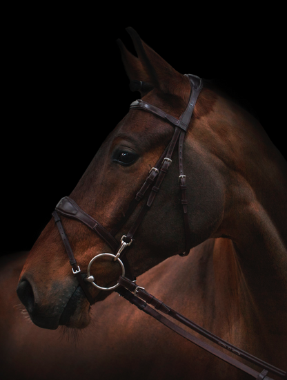 Utzon oxford jumping bridle in dark brown leather and silver metalware