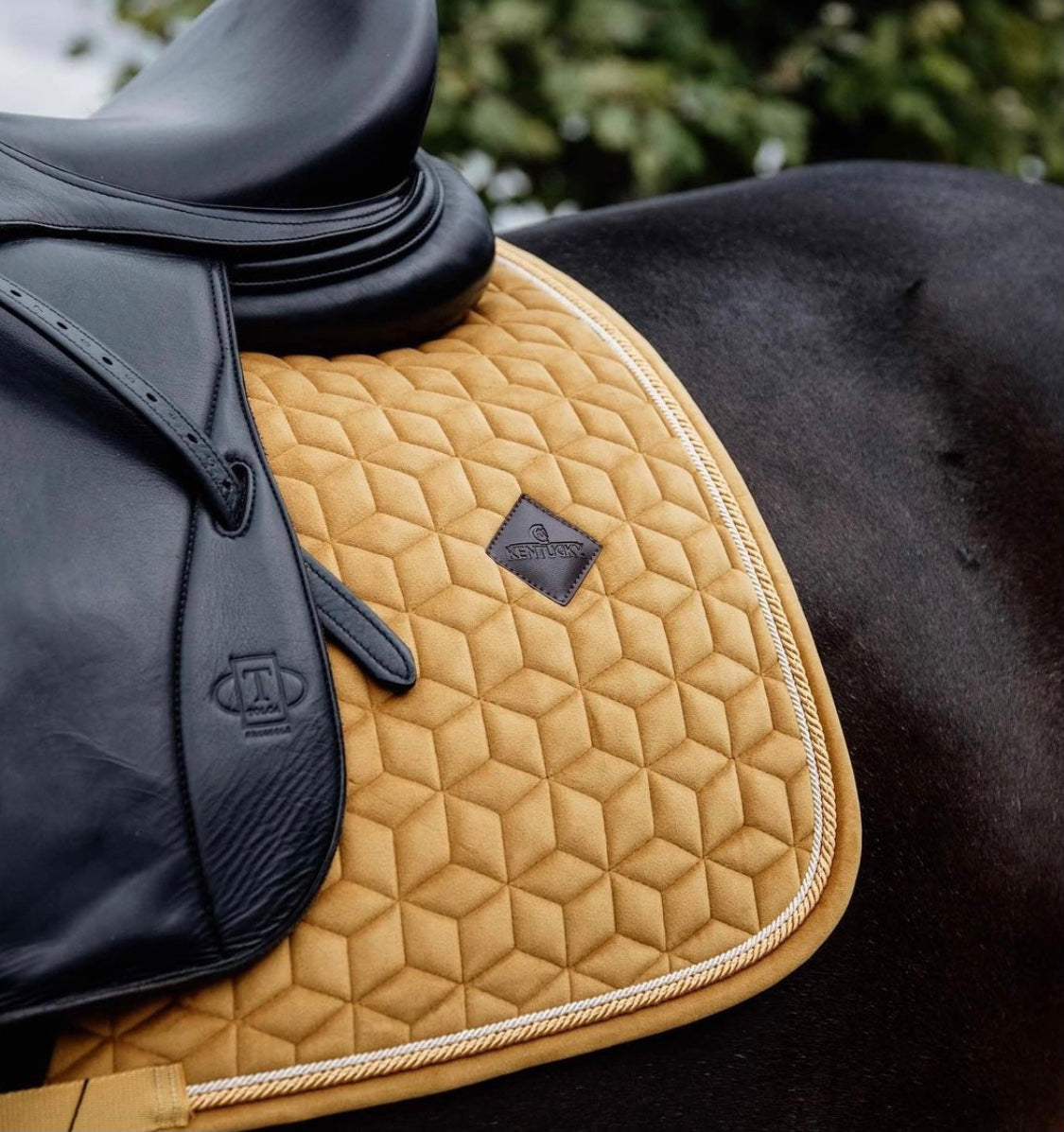 Kentucky Saddle Pad Velvet Dressage