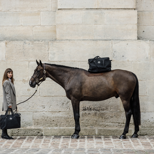 Kentucky Chestnut Travel Bag